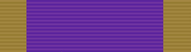 檔案:Order of Saint Marcus ribbon.jpg.jpg