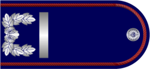 EOH Navy Private soldier.png