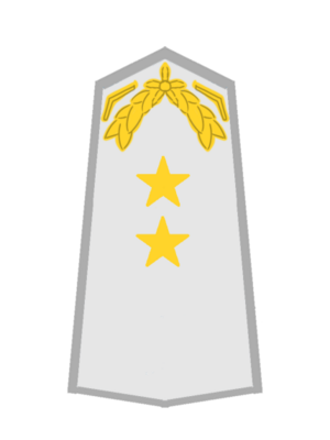 USA AF Generalmajor.png