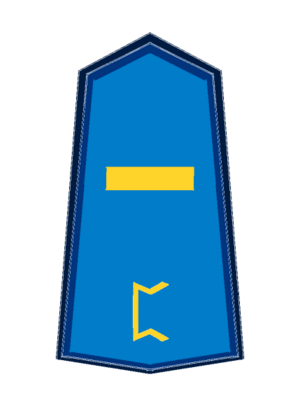 USA Navy Private.png