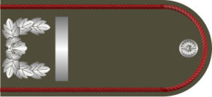 EOH Army Private soldier.png