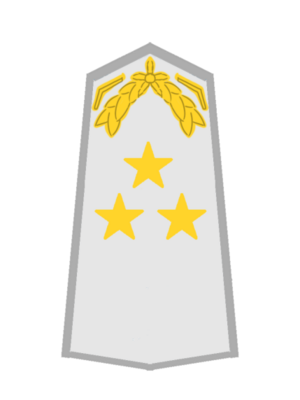 USA AF Generalleutnant.png