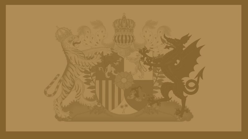 檔案:20 PLM back.jpg