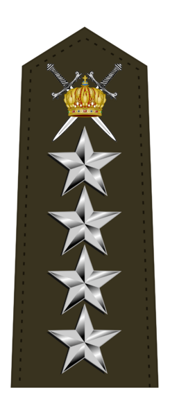 檔案:帕國皇軍陸軍元帥肩章.png