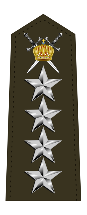 帕國皇軍陸軍元帥肩章.png