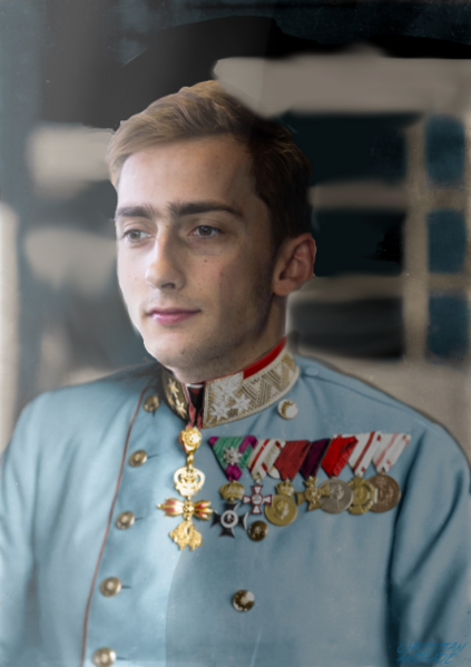 檔案:Ferdinand Habsburg.png