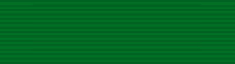 檔案:Distinguished Service Order ribbon.jpg.jpg