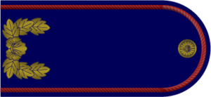 EOH Navy Private.png