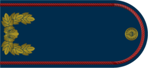 EOH AirForce Private.png