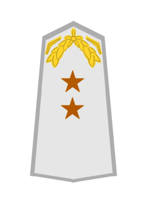 USA AF Leutnant.png