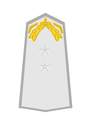 USA AF Oberstleutnant.png