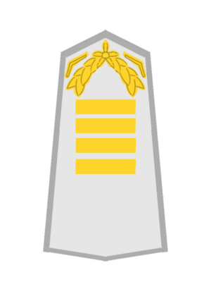 USA AF Sergeant.png